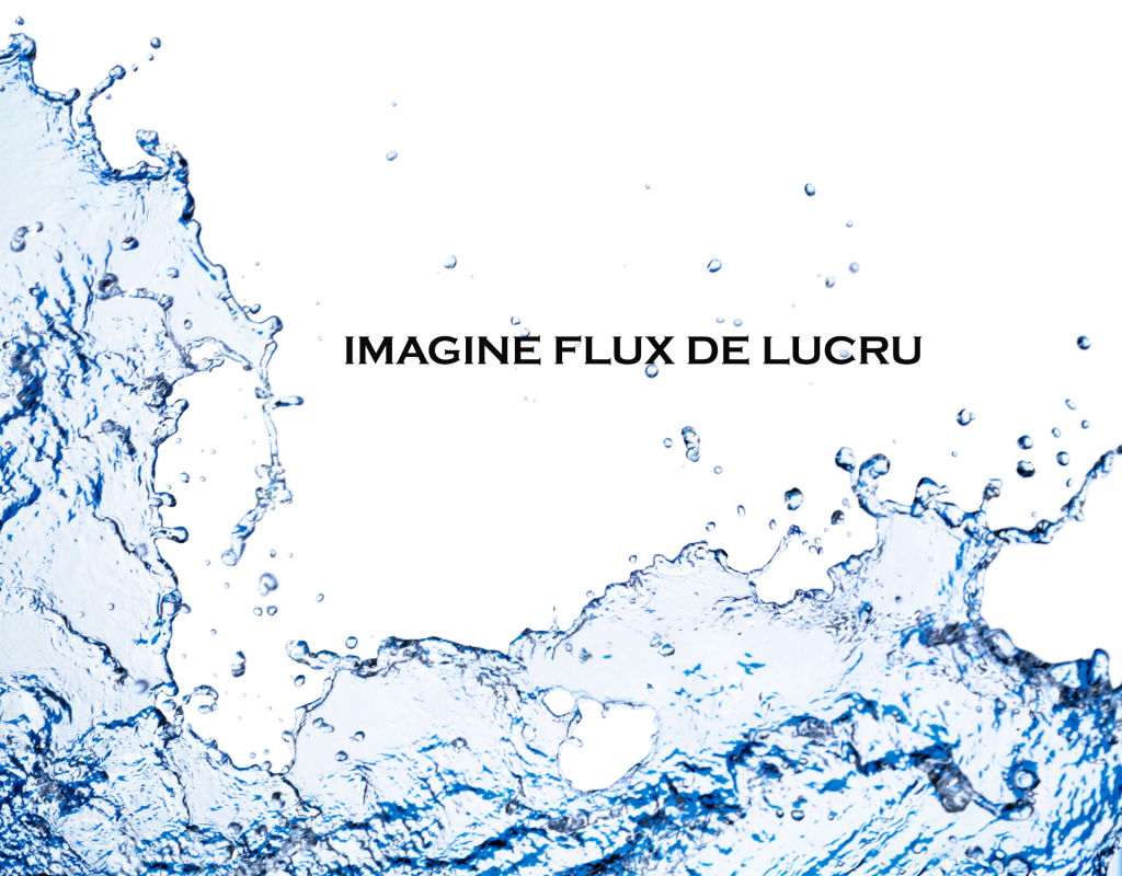 imagine flux